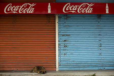 orange and blue roller shutters with red Coca-Cola signage thumbnail