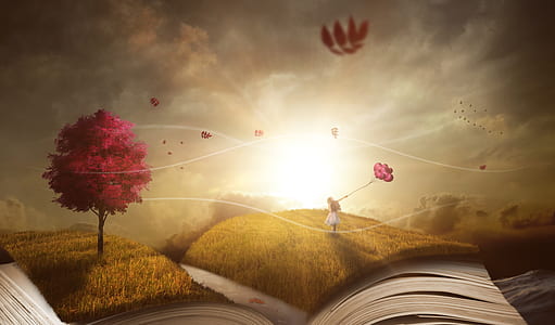 pink trees under blue sky digital wallpaper thumbnail
