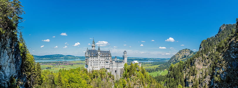 castle surrounded by trees thumbnail