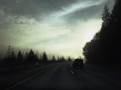 trees beside roadway thumbnail