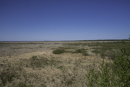 Grassland landscape with clear sky at Hecla Provincial Park thumbnail