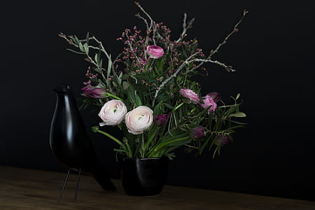 pink and white Ranunculus flowers in vase thumbnail