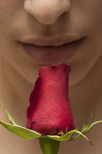 red rose near person's lips thumbnail