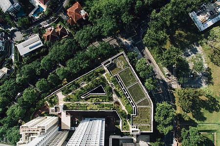 aerial photography of buildings surrounded by trees thumbnail
