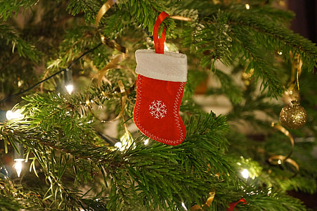 red Christmas stocking on pre-litted Christmas tree thumbnail