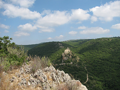 Hills and Trees in Israel thumbnail