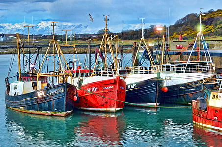 Red Blue and White Fishing Boats on Dock during Daytime thumbnail
