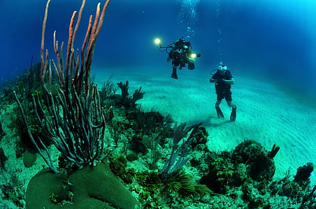 two divers taking photo under sea thumbnail
