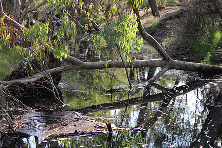 Australia Nature, Nature thumbnail