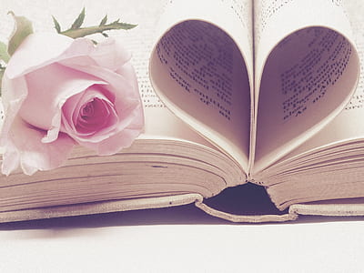 open book with heart page thumbnail