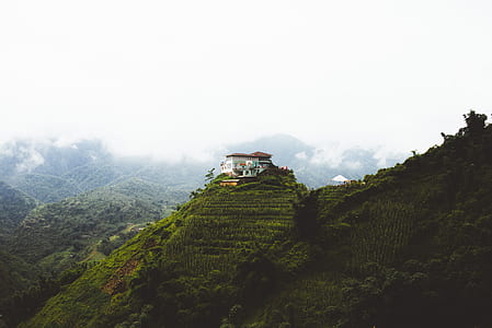 white house on top of hill thumbnail