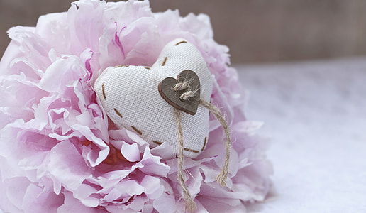 heart white pillow with pink flower thumbnail
