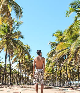 man standing between coconut trees during daytime thumbnail