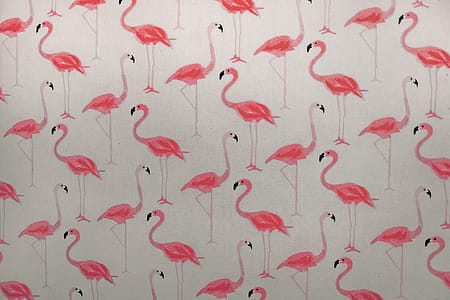 Pink Flamingo Printed Paper thumbnail