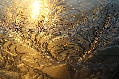 close-up photography og brown wooden floral carved surface thumbnail