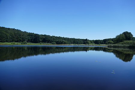 forest with lake under blue sky thumbnail