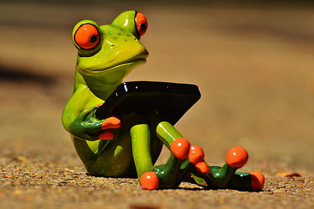 green frog holding case thumbnail