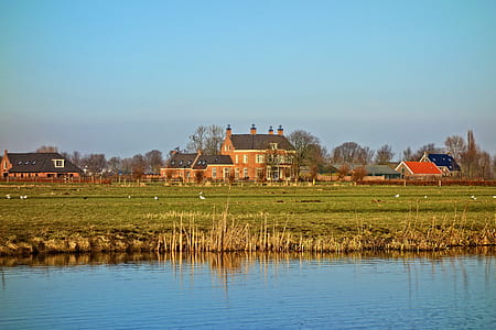 houses near grass field and body of water thumbnail