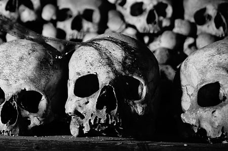 three skull on black surface thumbnail