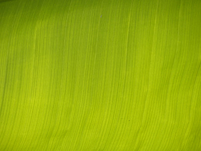 green textile thumbnail