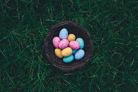 assorted-color eggs in nest thumbnail