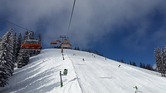 people playing skis on snowfield thumbnail