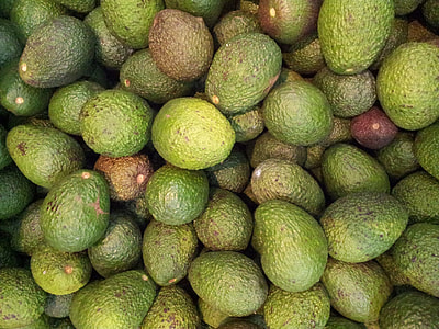 avocados thumbnail