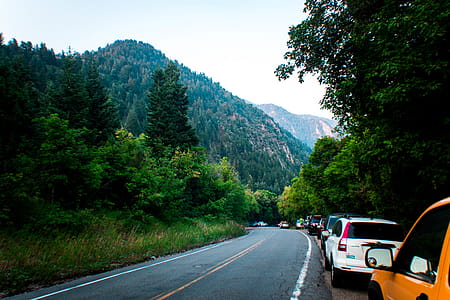 Photo of Cars Parked Beside Road thumbnail