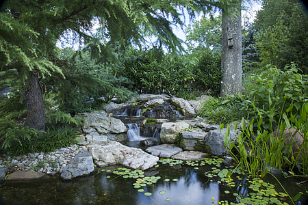 spring river between green trees thumbnail