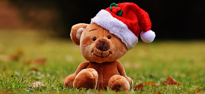 brown bear plush toy with Christmas hat on grass thumbnail