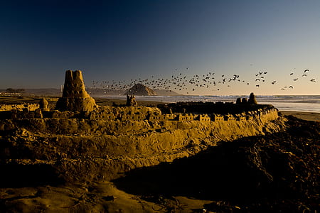 brown rock formation under flock of birds at daytime thumbnail
