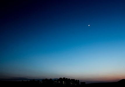 landscape photo of high-rise buildings thumbnail