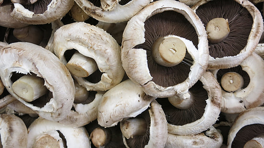 white-and-black mushroom lot thumbnail