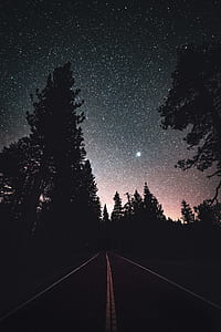 silhouette of trees under starry night photograph thumbnail