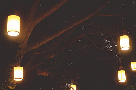 lights, night, dark, trees thumbnail