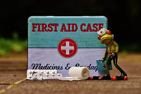 frog figurine beside First Aid Case box thumbnail