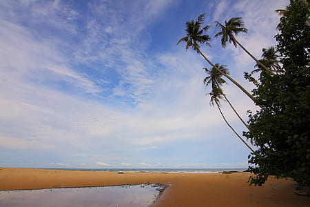 Blue Sky Above Beach during Daytime thumbnail