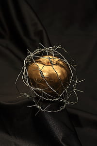 gold apple covered with barbed wires table decor thumbnail