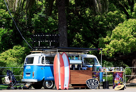blue and white bus parked under tree thumbnail