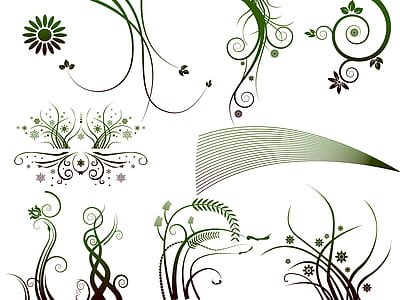 green and white floral illustration thumbnail