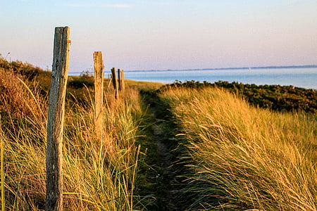 grass field photography thumbnail