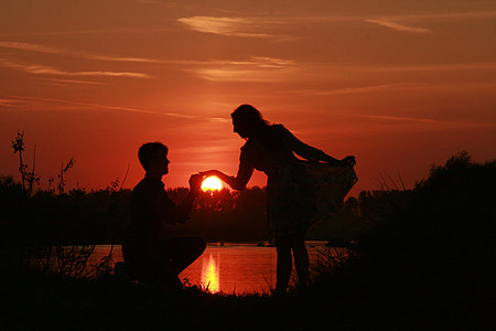 silhouette of man kneeling before a woman in dress thumbnail