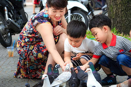 woman and children feeding pigeons during daytime thumbnail