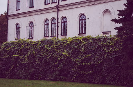 light, landscape, art, landmark thumbnail