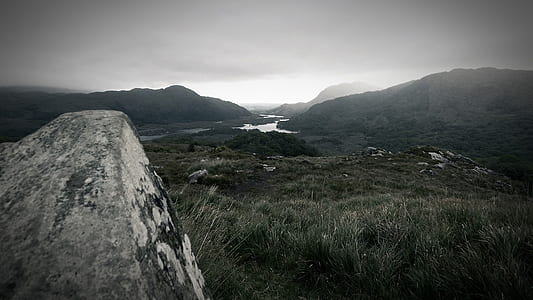 Gloomy grasslands thumbnail