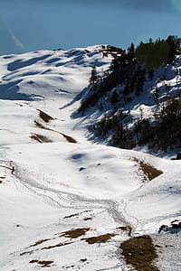 mountain covered with snow and trees thumbnail