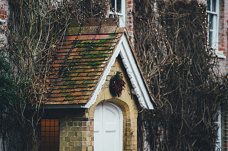 barn style house beside dried tree roots thumbnail