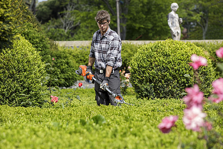 person trimming hedge thumbnail