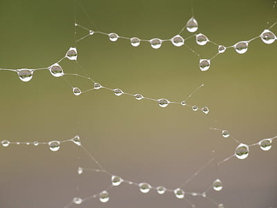 water, blur, dew, rain thumbnail