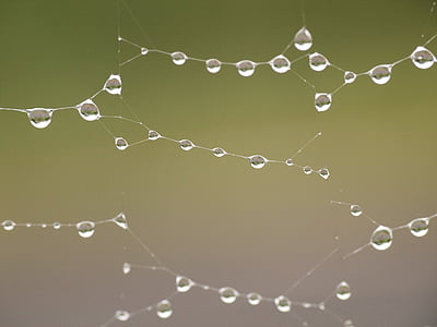 macro photography of water drops thumbnail